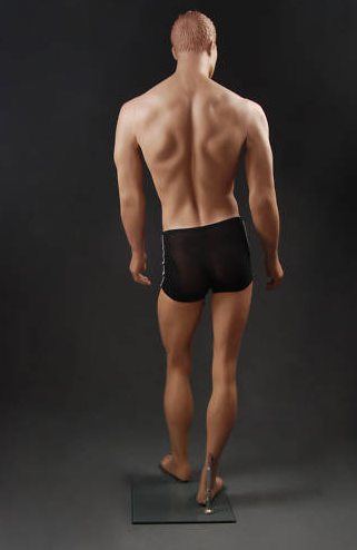 Male Realistic Mannequin MM-GM8