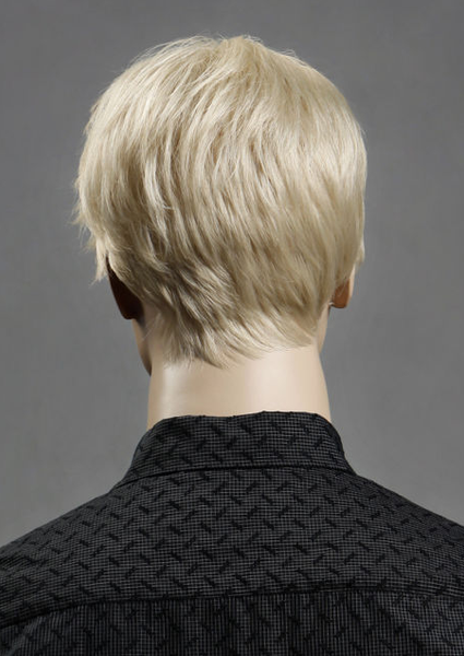 Male Wig #ZL11-22