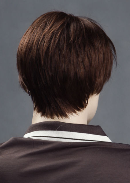 Male Wig #ZL6-33